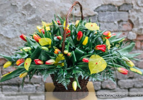 kosz tulipanów